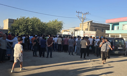 Mardin’de TIR’ın çarptığı Mehmet Hadi Çelik hayatını kaybetti!
