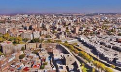 Diyarbakır’a kadar geldi, sahibine teslim edilmedi!