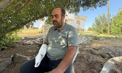 Narin’in ölümü üzerinden 1 yıl geçti: Baba Arif Güran, “Keşke ben ölseydim!"