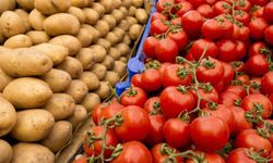 Patates aslında domatesmiş! 9 milyonluk sır çözüldü