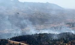 Şırnak'ta orman ve örtü yangını: Havadan ve karadan müdahale
