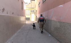 Diyarbakır’da JASAT operasyonu: Çok sayıda yakalama