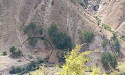 Bingöl-Diyarbakır-Muş üçgeninde bulunuyor: O türbe için yol yapıldı