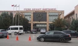 Cizre bir ilk: Yüz gençleştirme ameliyatı yapıldı