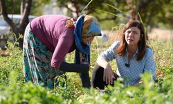 Diyarbakır Büyükşehir sebze ekti: İlk hasadı yapıldı