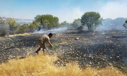Diyarbakır Dicle’de orman ve örtü yangını