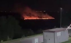 Diyarbakır Hevsel Bahçeleri'nde korkutan yangın