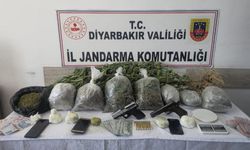 Diyarbakır Valiliği duyurdu: Kilolarca esrar ele geçirildi