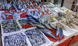 Diyarbakır’da balık tezgahları şenleniyor: İşte fiyatları