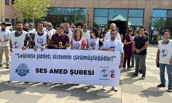 Diyarbakır’da sağlıkçılar darp edilmişti: Açıklama geldi