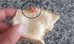 Diyarbakır'da ekmeğin içinden çıkan şaşırttı!
