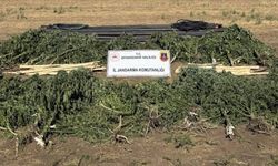Diyarbakır’da ele geçirildi: Detayları belli oldu!