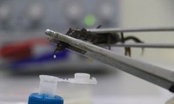 Diyarbakır’da kârlı ama tehlikeli yatırım: Gramı 500 bin TL!