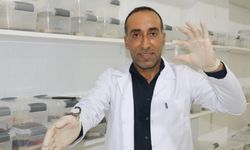 Diyarbakır’da inşaatı bıraktı, zehir üretti: Paraya para demeyecek!