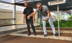 Diyarbakır’da kış çiçeklerinin ekimine başlandı