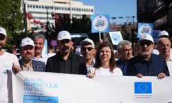 Diyarbakır’da STK ve eş başkanlar yürüdü: İşte sebebi