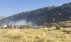 Diyarbakır’daki yangın ormanlık alana sıçradı!