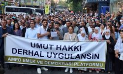 Diyarbakır’dan Öcalan çağrısı: “Derhal uygulansın!”