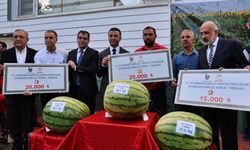 Diyarbakır'ın en büyük karpuzları belli oldu!
