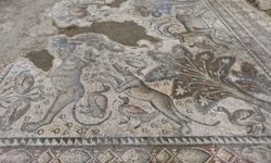 Elazığ'da 1700 yıllık Roma Mozaiği gün yüzüne çıkıyor!