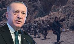 Erdoğan’ın başdanışmanı açıkladı: İşte çözüm sürecinde atılacak 7 adım