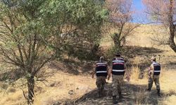 Mardin’de çobanlar yanmış halde buldu!