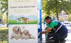 Kayapınar Belediyesi yaz boyunca sokak hayvanlarını unutmadı