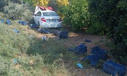 Otomobil hasat yapan işçilere çarptı: Ölü ve yaralılar var
