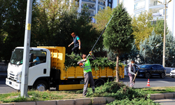 Büyükşehir duyurdu: Diyarbakır’da budama çalışmaları başladı!
