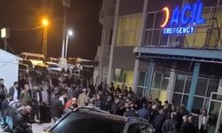 Ceviz ağacından düştü: Ferho Sevmiş hayatını kaybetti
