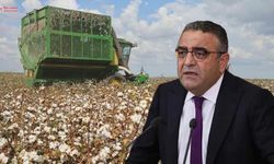 Diyarbakır’da ‘beyaz altın’ krizi: Tanrıkulu detayları açıkladı!