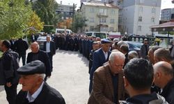 DEM Parti araya girdi: Van'da iki aile barıştı