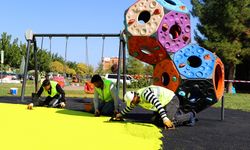 Diyarbakır'da 4 merkez ilçede parklar yenileniyor