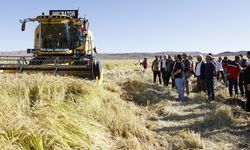 Diyarbakır’da Karacadağ pirinci hasadı yapıldı