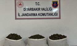 Diyarbakır'da uyuşturucu operasyonları