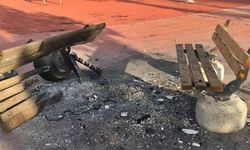 Diyarbakır’daki parkları yaktılar: Belediyeden açıklama!