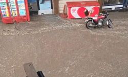 Diyarbakır’ın 2 ilçesinde yağmur etkili oldu!