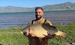 Keban’da 32 kiloluk dev sazan yakaladı