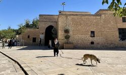 Diyarbakır'a çok yakın bir türbe: Çocuğu olmayan gidiyor