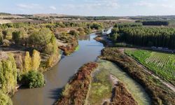 Diyarbakır’da Dicle Nehri’ne ilişkin önemli gelişme!