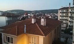 Muğla sabaha karşı sallandı! AFAD duyurdu