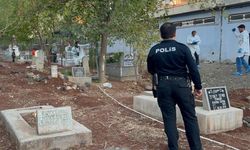 Siverek’te mezarlığa gitti: Korkunç manzarayla karşılaştı!