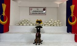 Diyarbakır’da 40 şüpheliye yasal işlem yapıldı