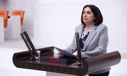 Diyarbakır’ın sorunlarını tek tek saydı: Meclis’e taşıdı!