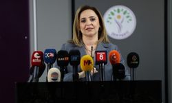 DEM Parti İmralı'ya gidecek üyesini duyurdu!