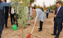 Dicle Üniversitesi’nde fidanlar ekildi