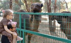 Diyarbakır’a en yakın Hayvanat Bahçesi’ne yoğun ilgi