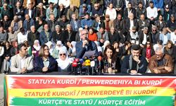 Diyarbakır’da 750 kurumdan Kürtçe talebi!