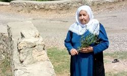 Diyarbakır’da Barış Annesi Türkan Çelik vefat etti