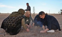 Diyarbakır’da ölen kadınlar anısına fidan dikildi